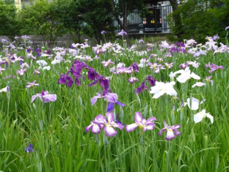 画像6